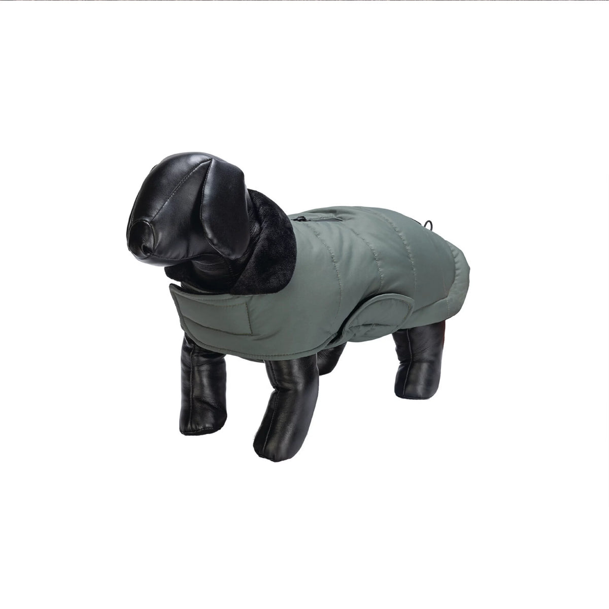 Designed by Lotte Hundemantel Zhanti Grün