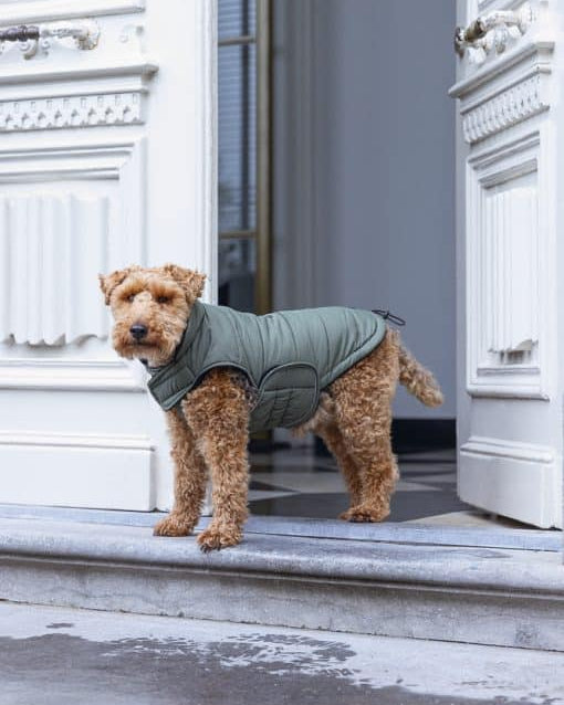 Designed by Lotte Hundemantel Zhanti Grün