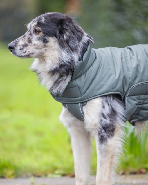 Designed by Lotte Hundemantel Zhanti Grün