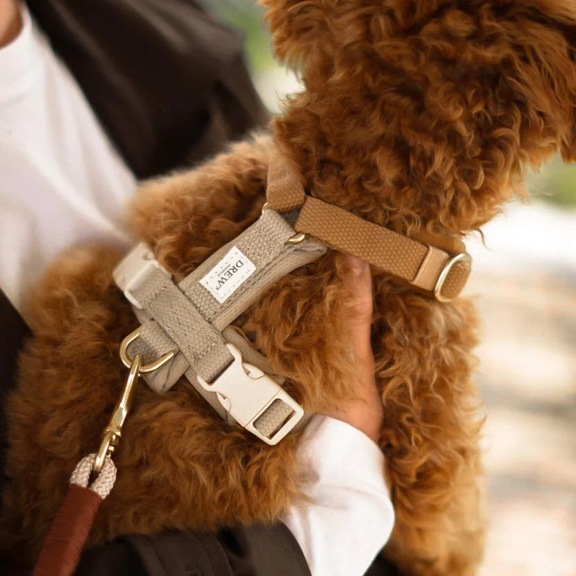 Drew's Dogwear Geschirr PRO Cortado