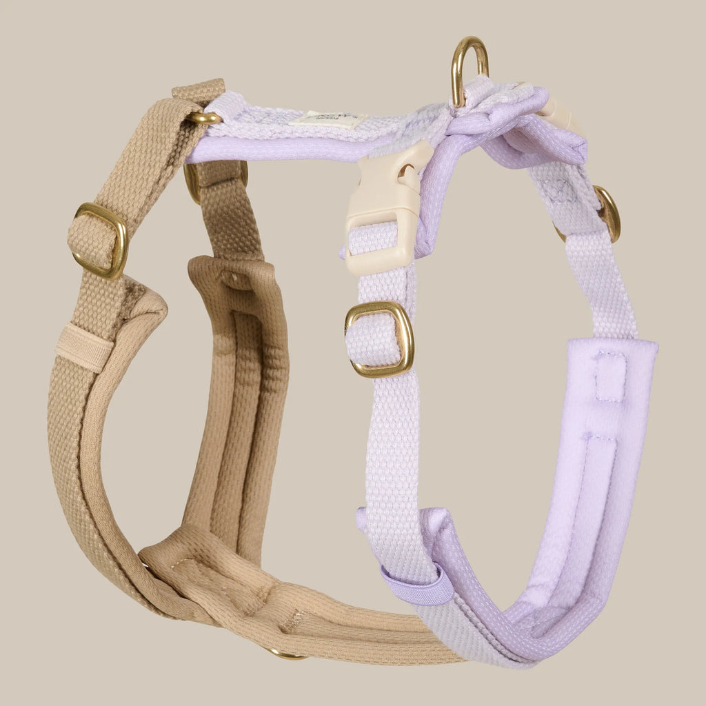 Drew's Dogwear Geschirr PRO Lavendel