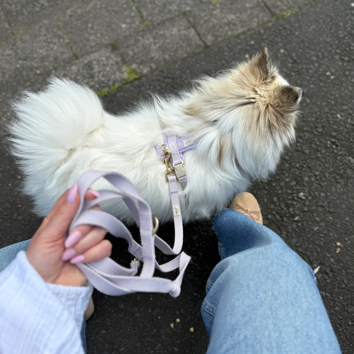 Drew's Dogwear Geschirr PRO Lavendel