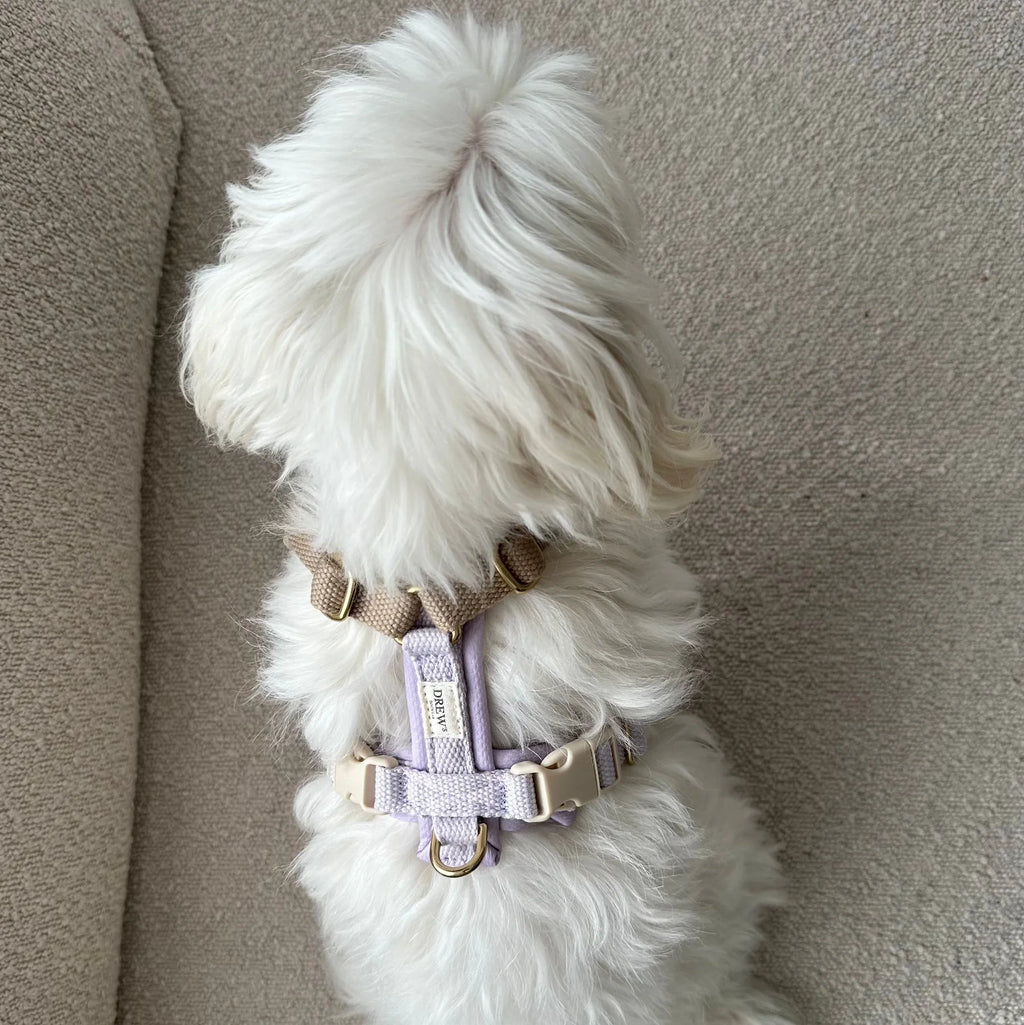 Drew's Dogwear Geschirr PRO Lavendel