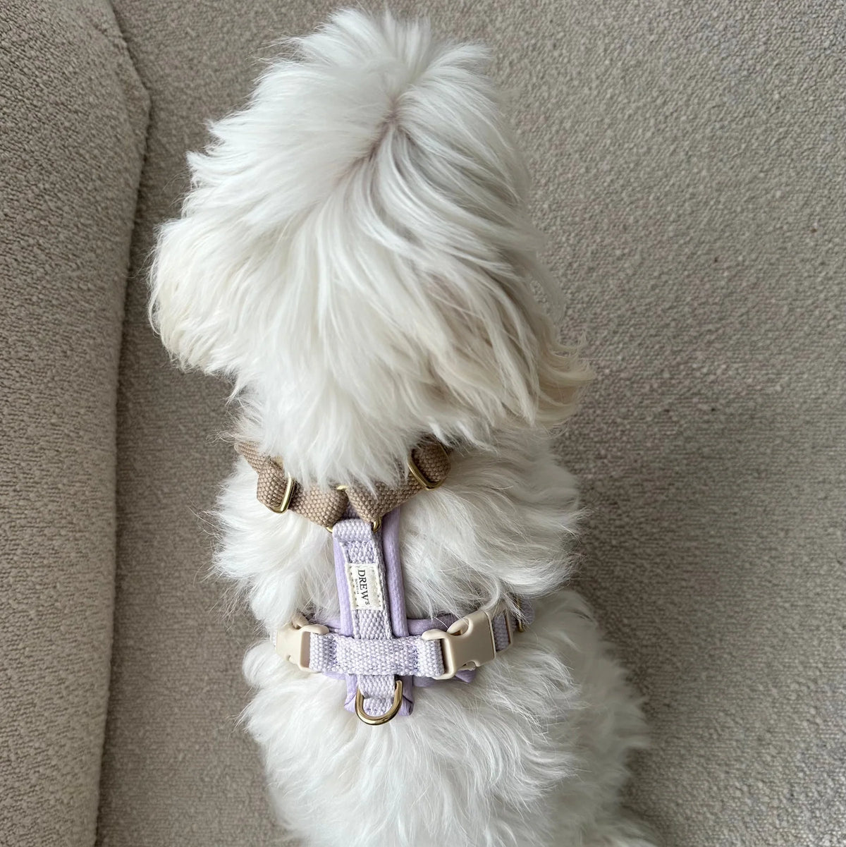 Drew's Dogwear Geschirr PRO Lavendel