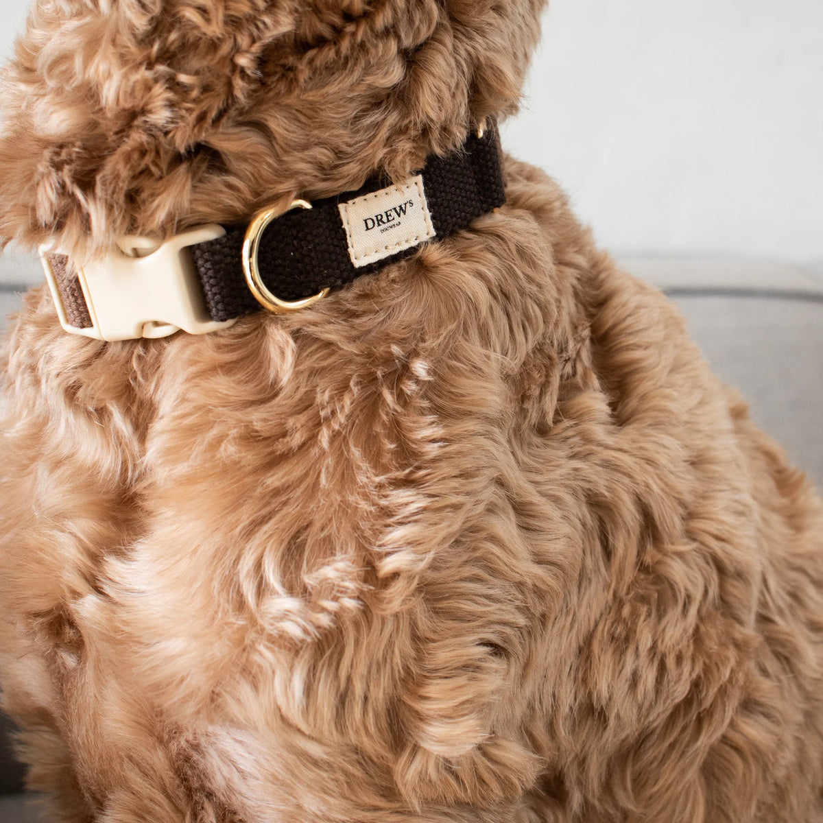 Drew's Dogwear Halsband Chocolate