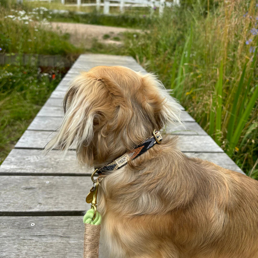 Drew's Dogwear Halsband Dark Arrow
