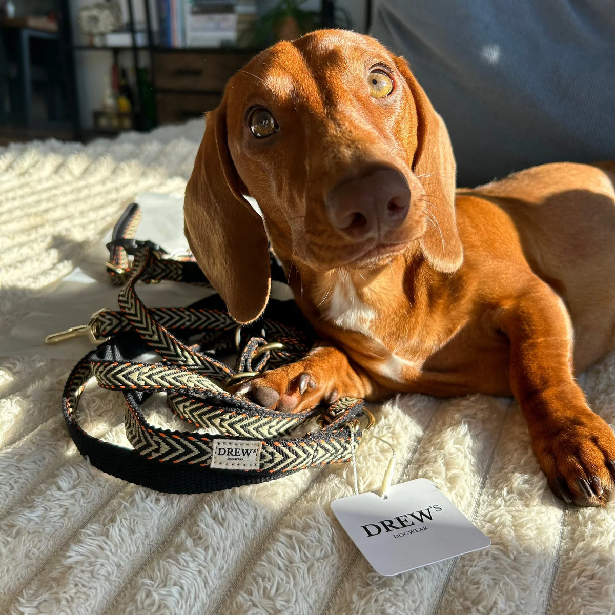 Drew's Dogwear Hundeleine Bright Orange