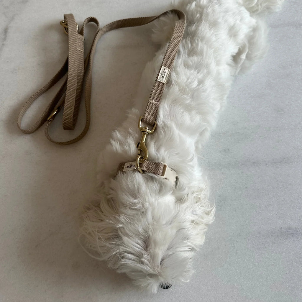 Drew's Dogwear Hundeleine Verstellbar Beige