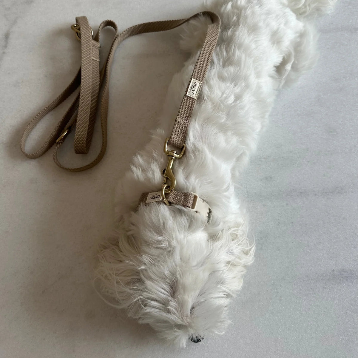 Drew's Dogwear Hundeleine Verstellbar Beige