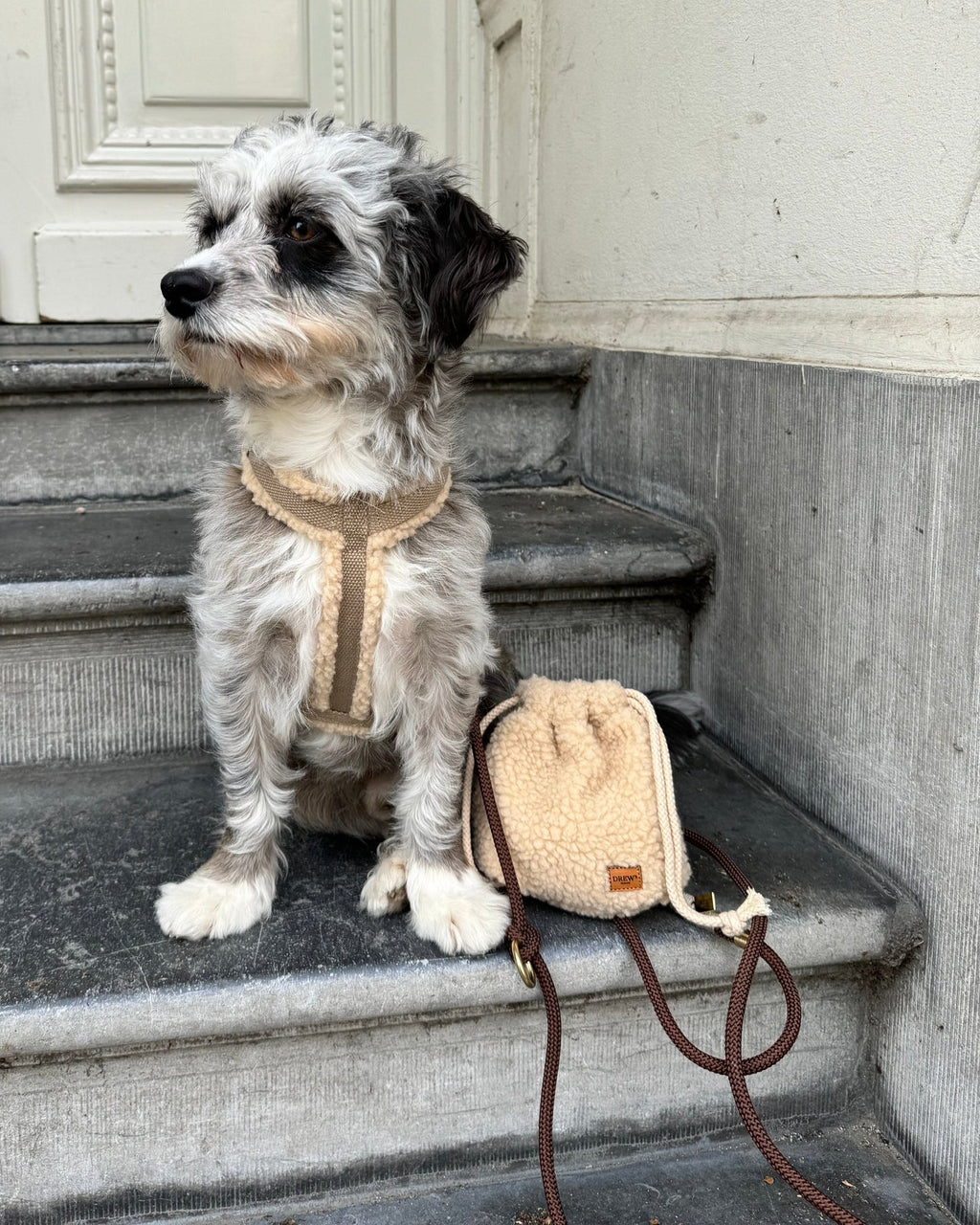 Drew's Dogwear Leckerlibeutel Teddy Beige