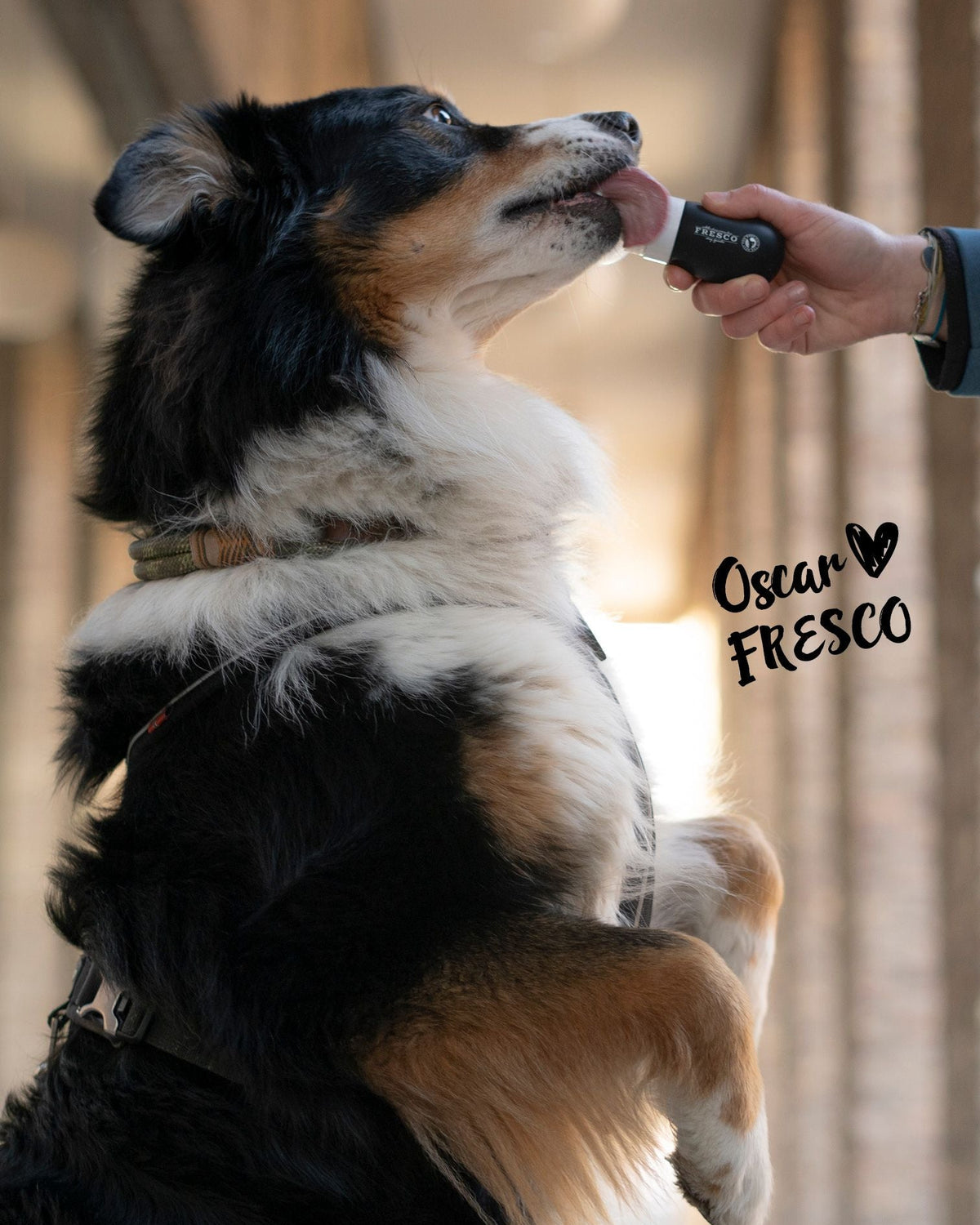 Fresco Refillable Food Tube