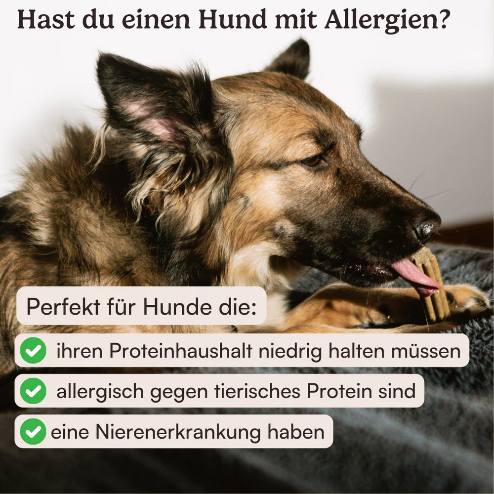 Hunderunde Dentalsticks Zahnfee