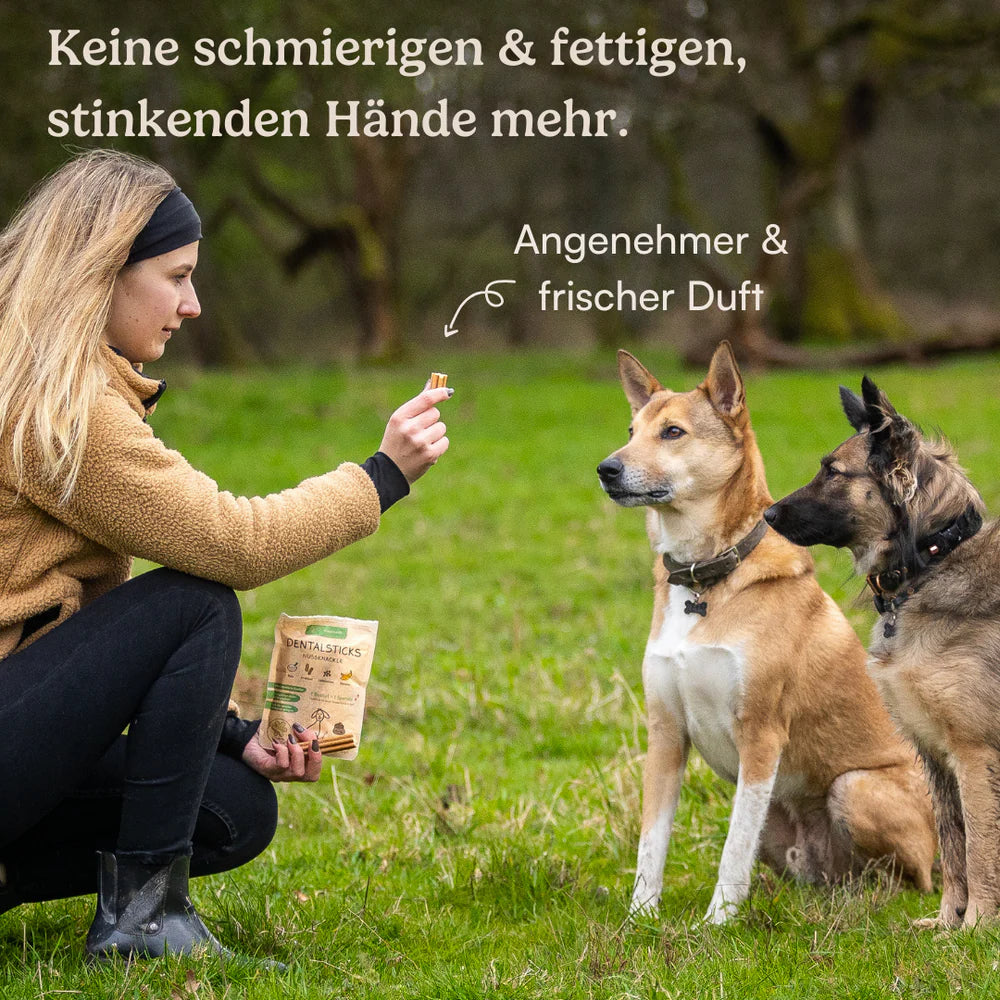 Hunderunde Dentalsticks Zahnfee