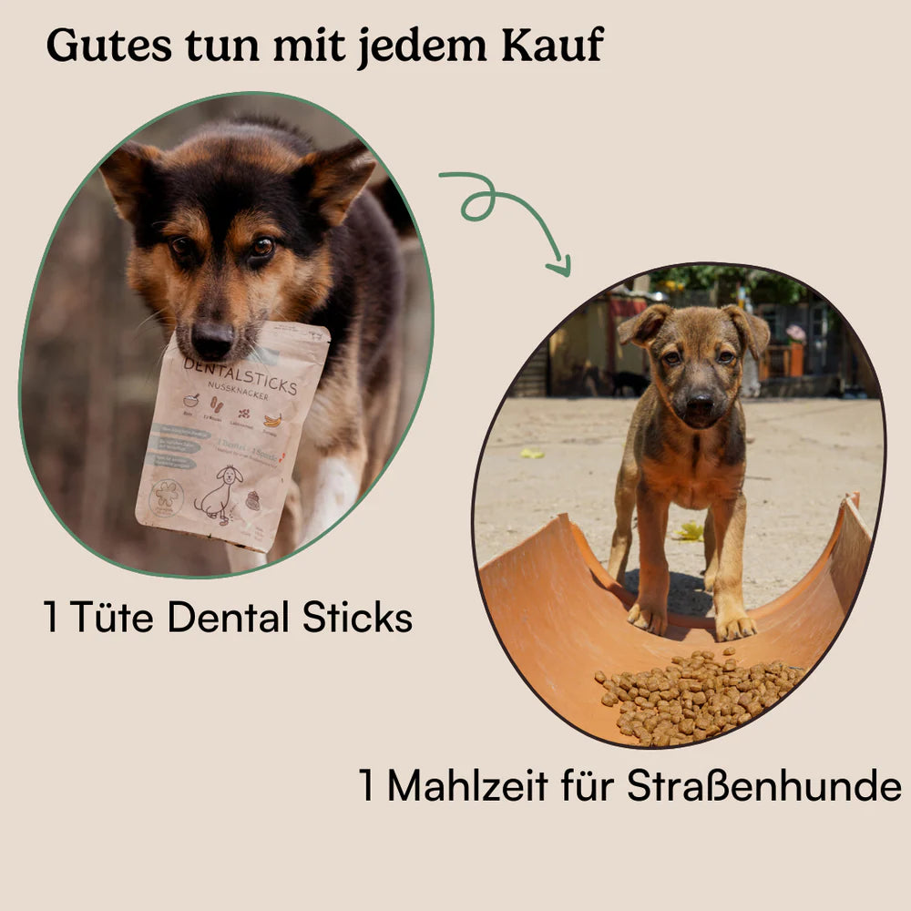 Hunderunde Dentalsticks Zahnfee