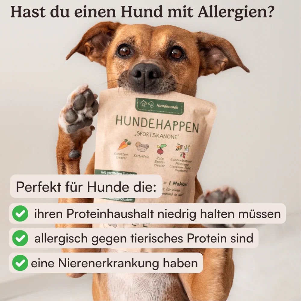 Hunderunde Leckerli Schlafmütze