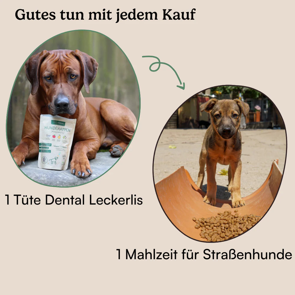 Hunderunde Leckerli Schlafmütze