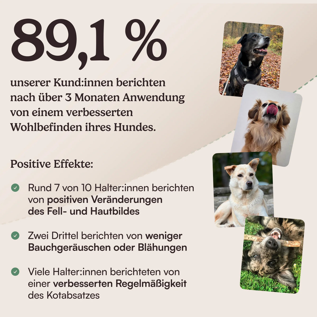 Hunderunde Topping Haut & Fell