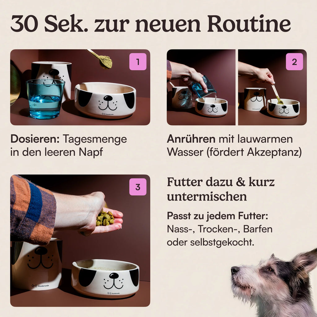 Hunderunde Topping Haut & Fell