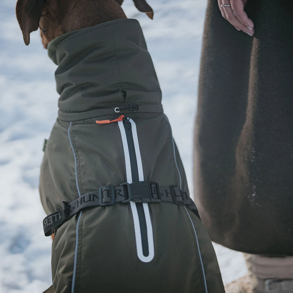 Hunter Dog Coat Nordby Olive