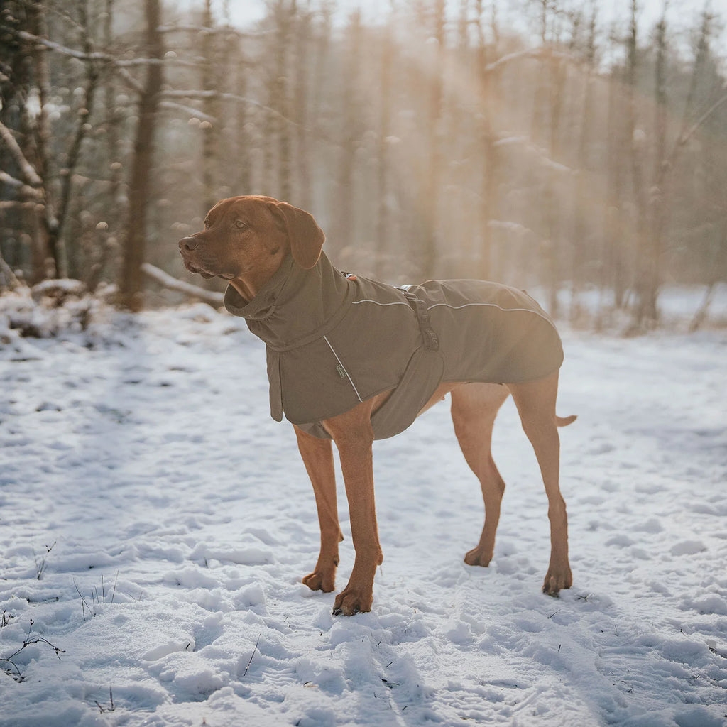 Hunter Dog Coat Nordby Olive