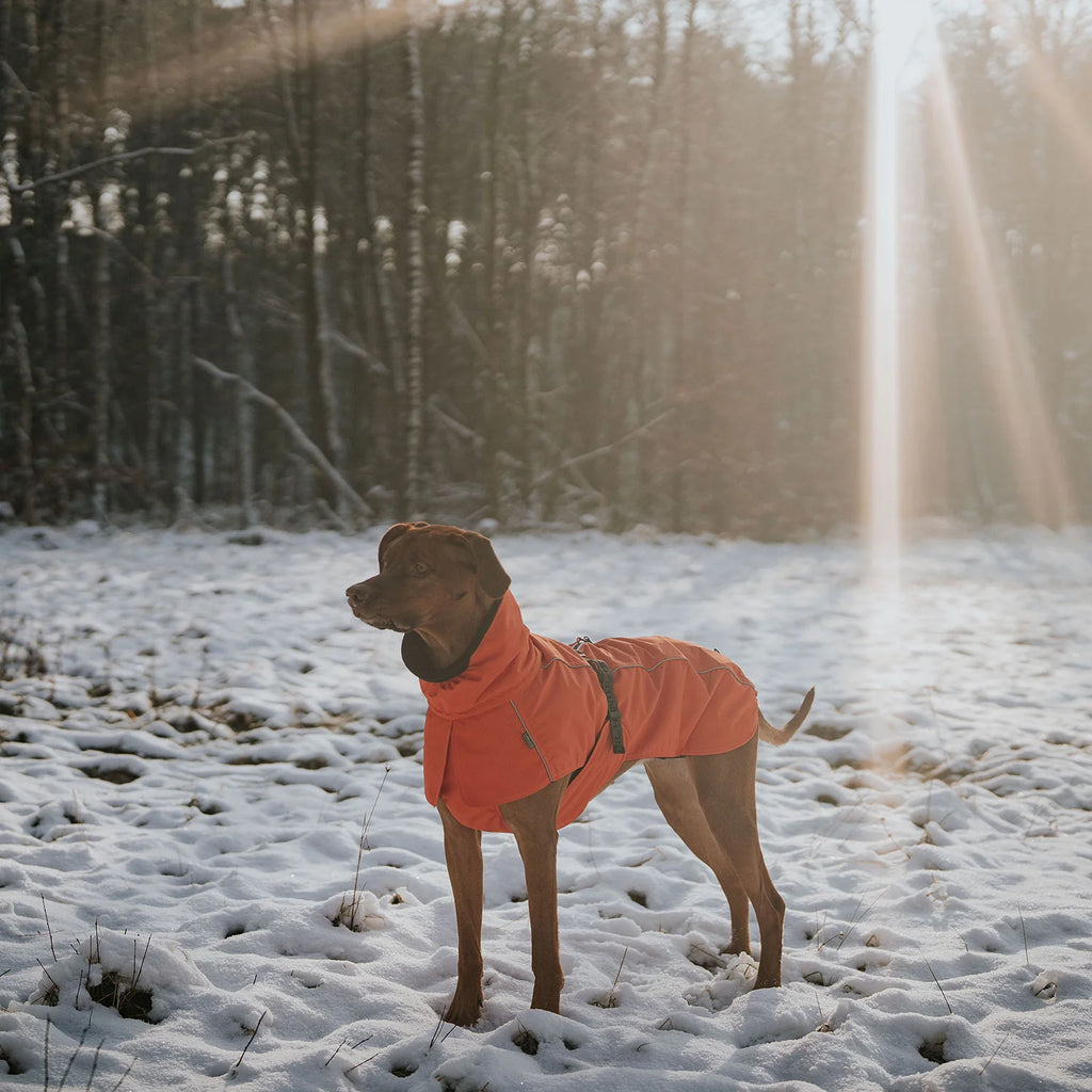 Hunter Hundemantel Nordby Orange