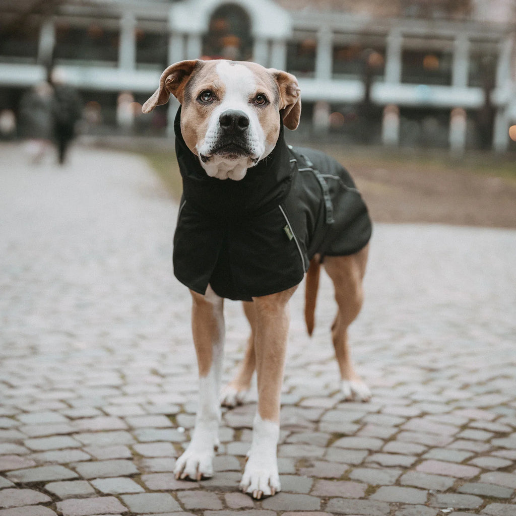 Hunter Hundemantel Nordby Schwarz