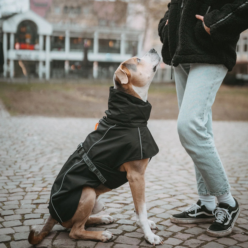 Hunter Hundemantel Nordby Schwarz