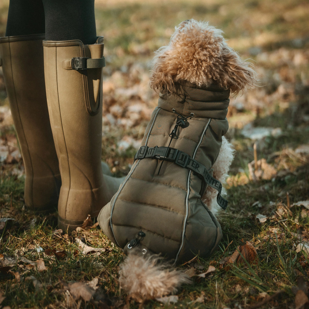 Hunter Hundemantel Paxson Oliv