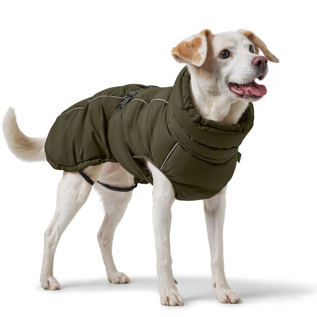 Hunter Hundemantel Paxson Oliv