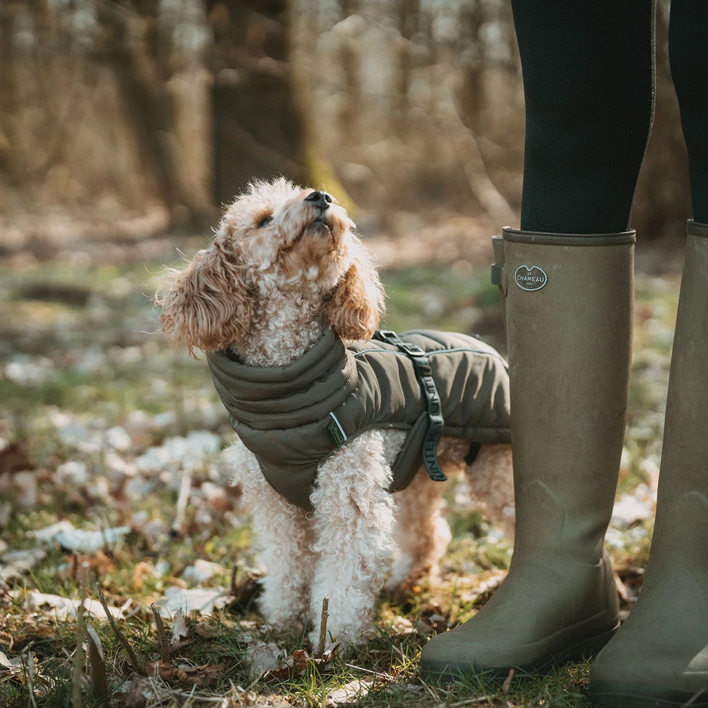 Hunter Hundemantel Paxson Oliv