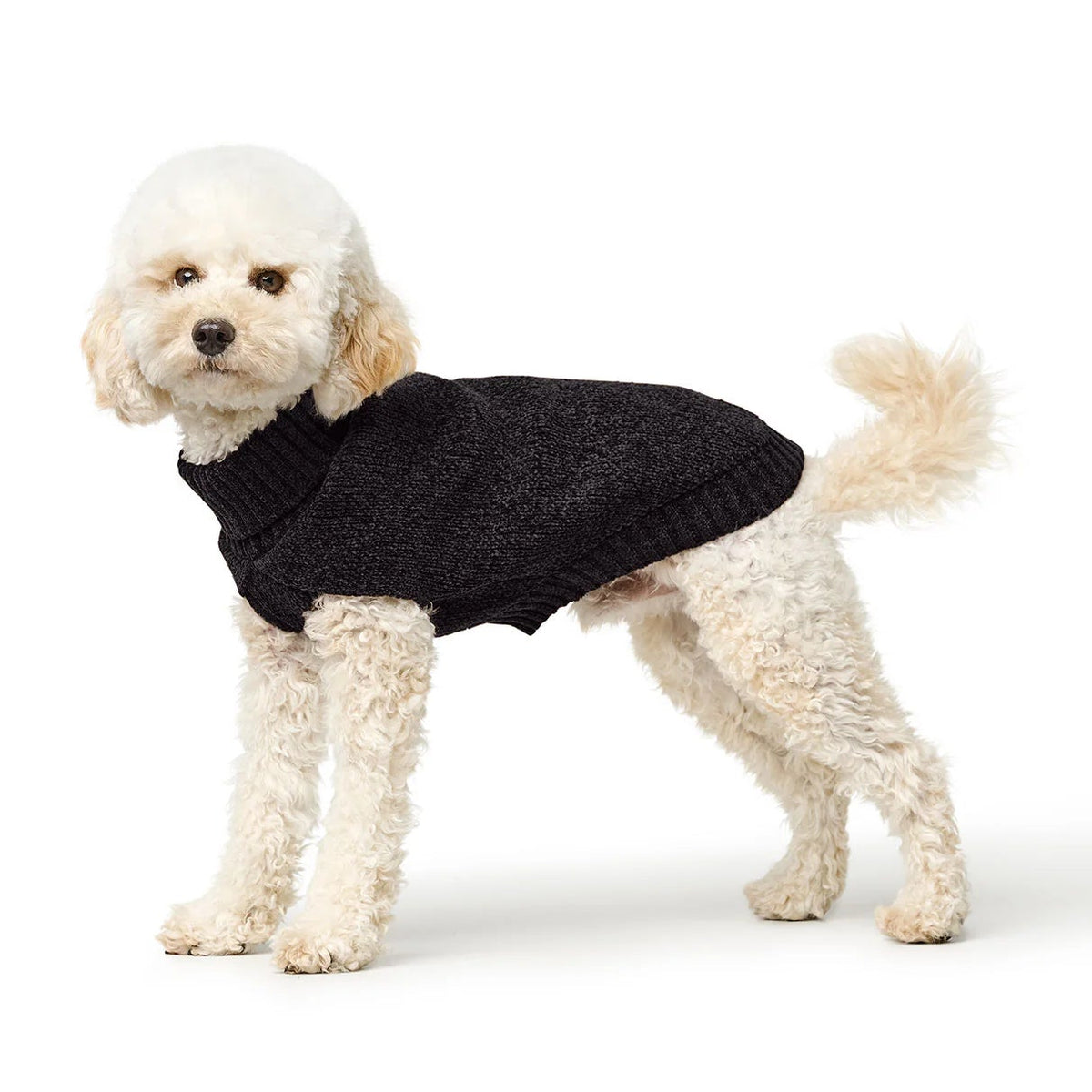 Hunter Hundepullover Birka Schwarz