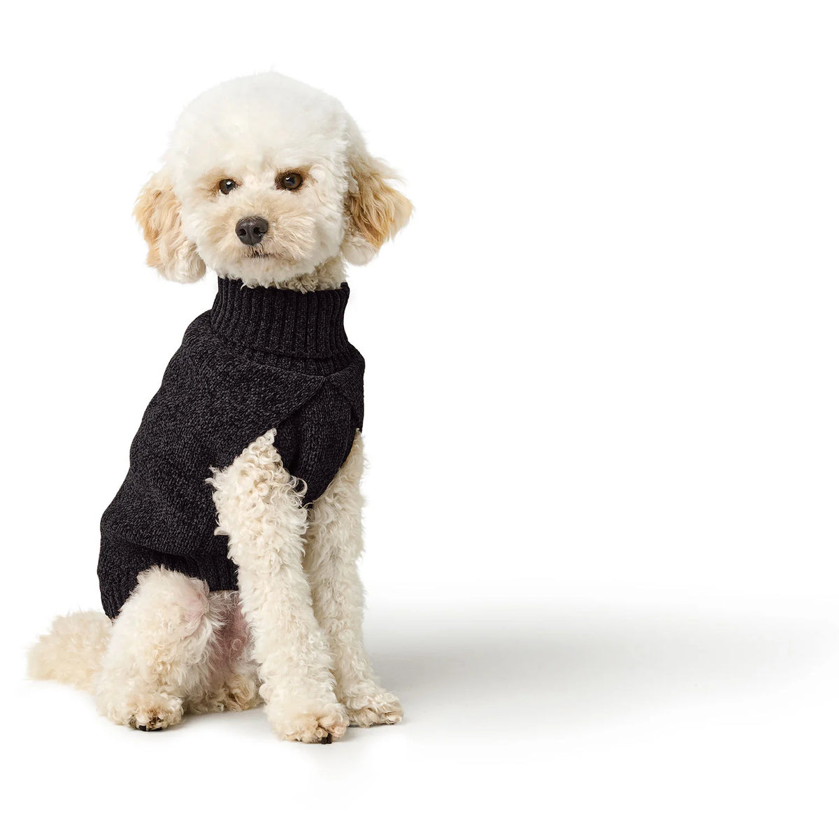 Hunter Hundepullover Birka Schwarz