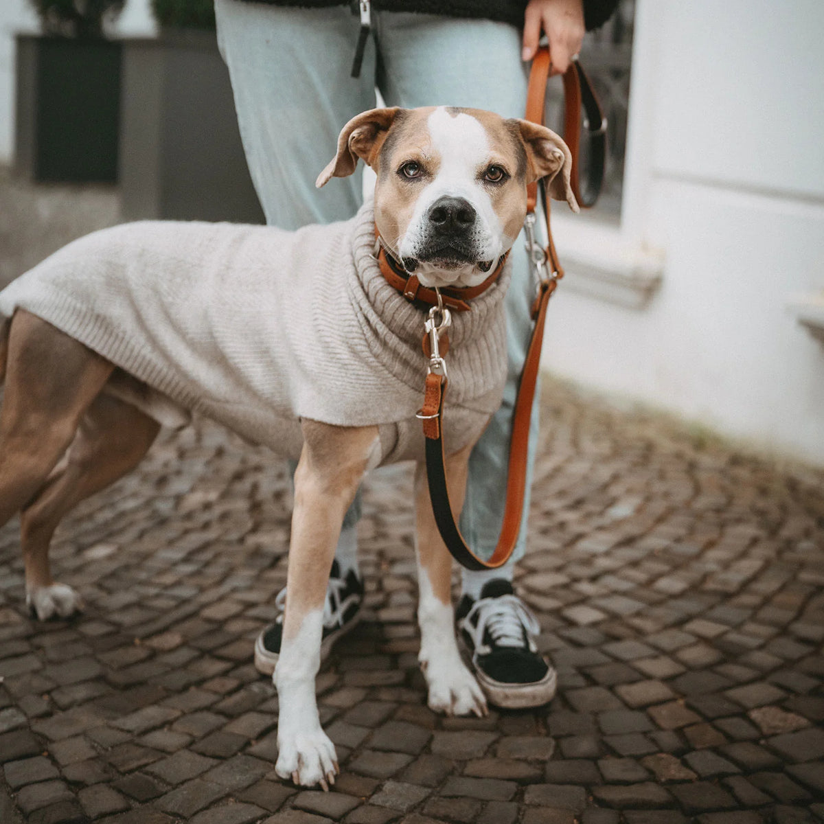 Hunter Hundepullover Genf Beige