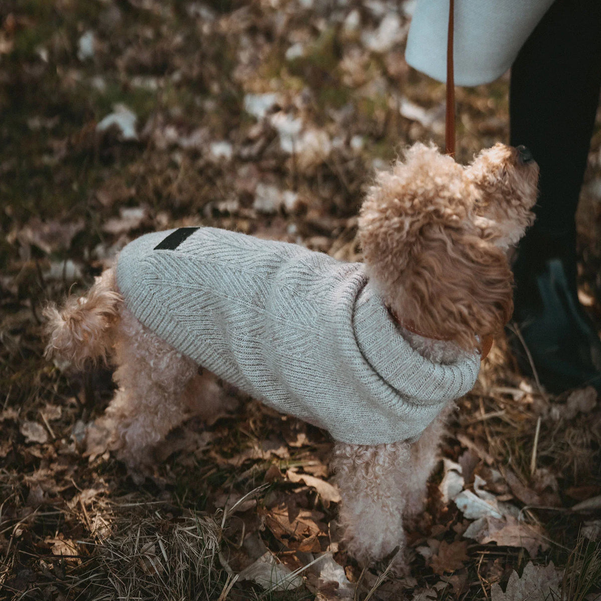Hunter Hundepullover Genf Beige