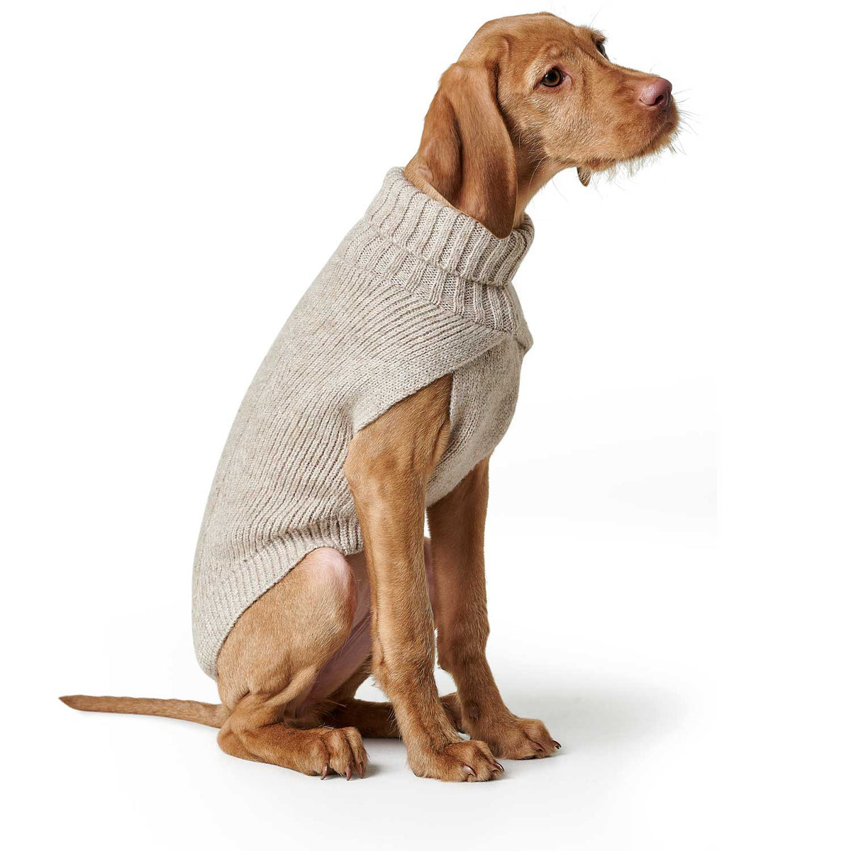 Hunter Hundepullover Genf Beige