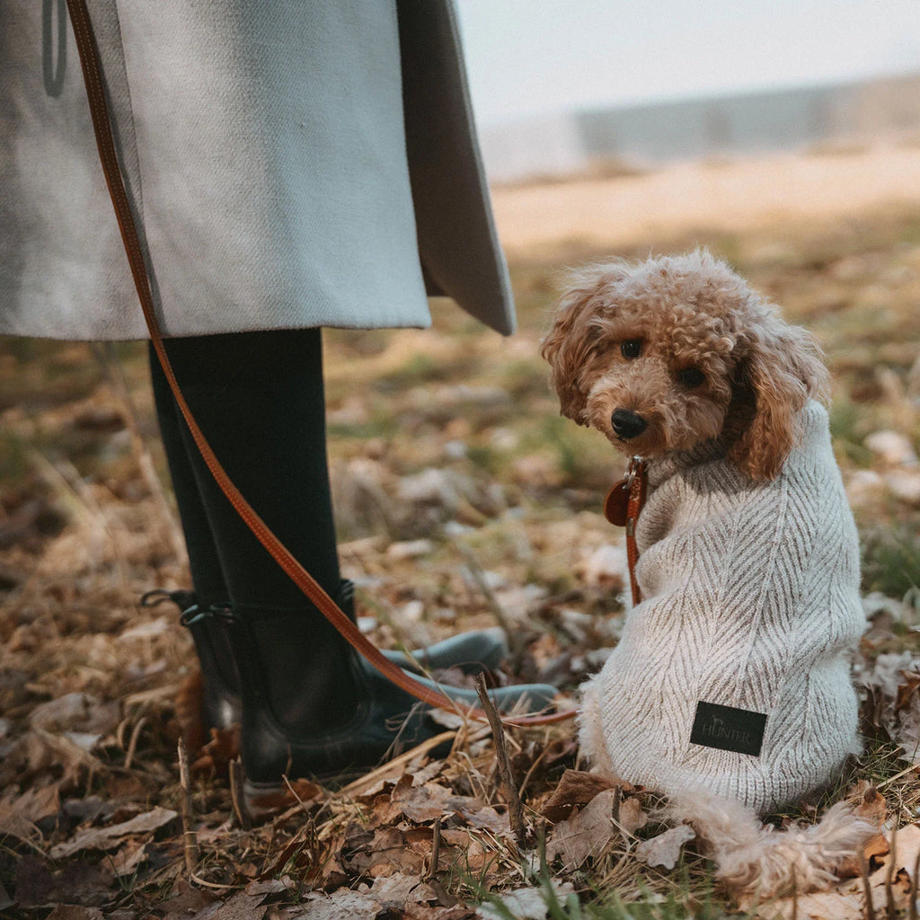 Hunter Hundepullover Genf Beige
