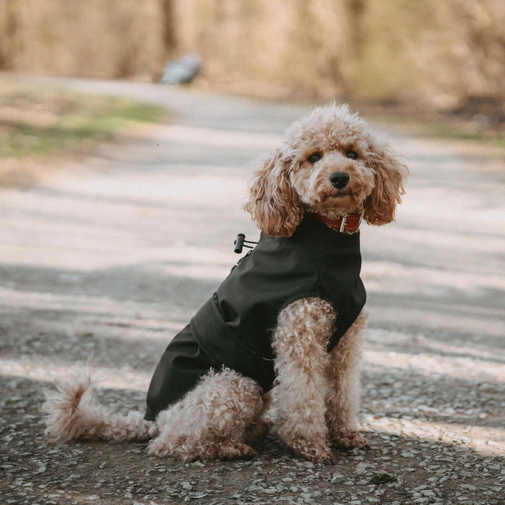 Hunter Dog Raincoat Milford Black