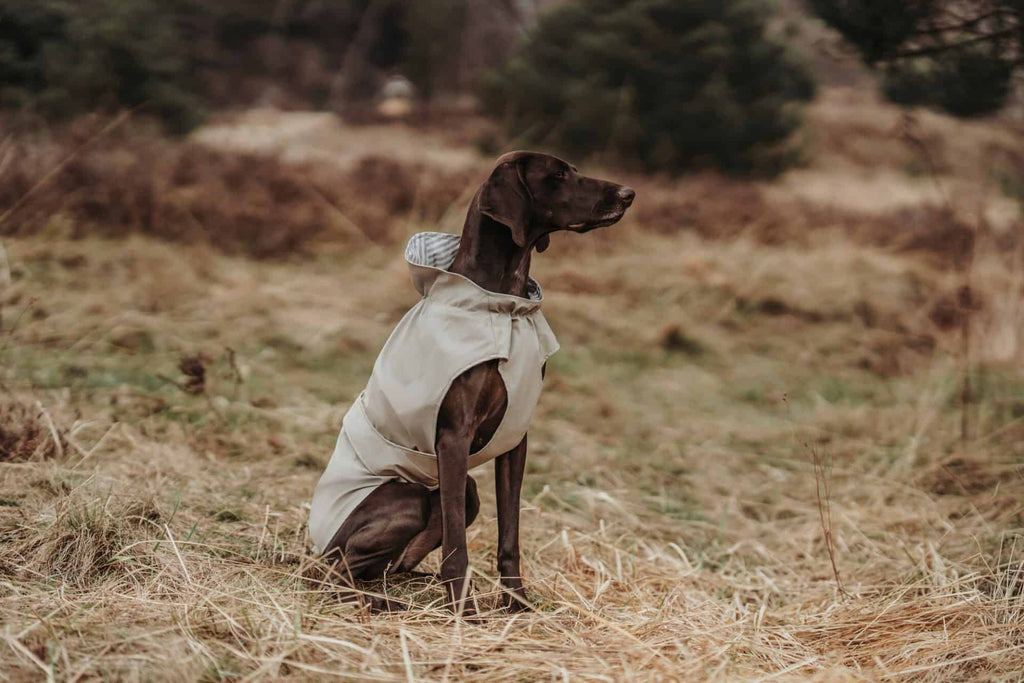 Hunter Hunderegenmantel Milford Taupe