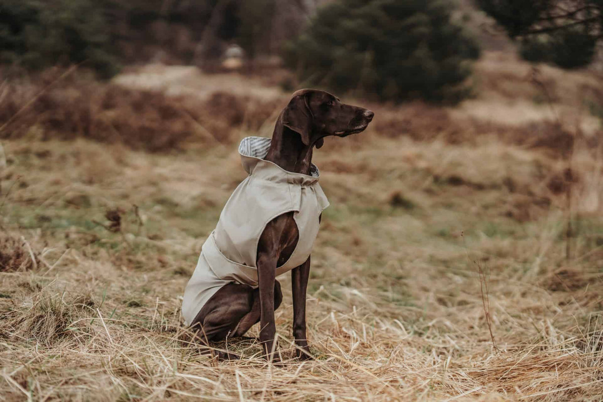 Hunter Hunderegenmantel Milford Taupe