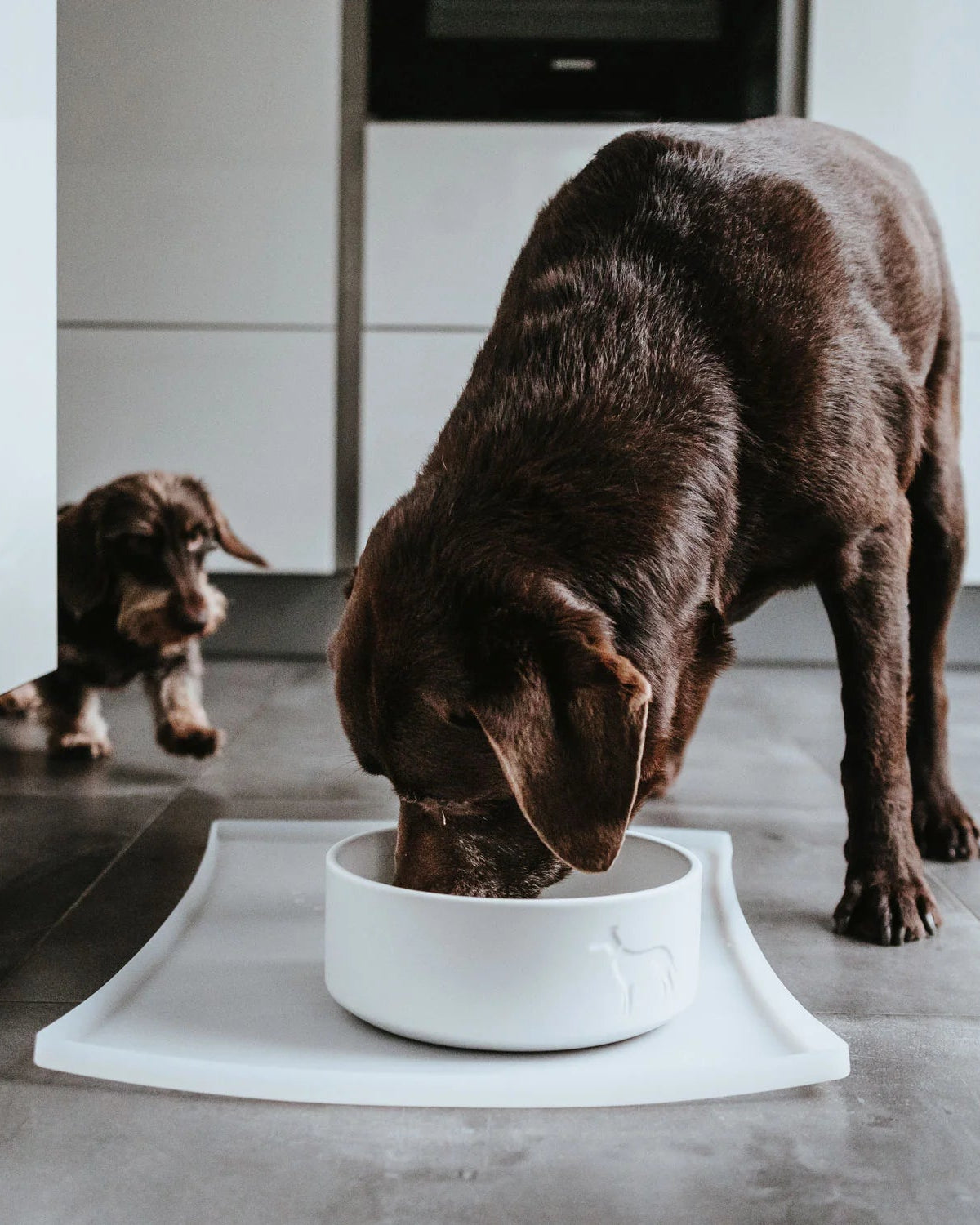Hunter Bowl Mat Selection Taupe