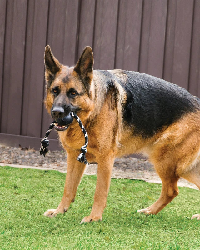 KONG Ball Extreme mit Tau