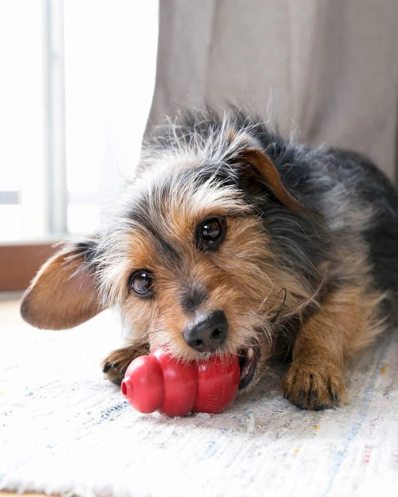 KONG Classic Red Toy