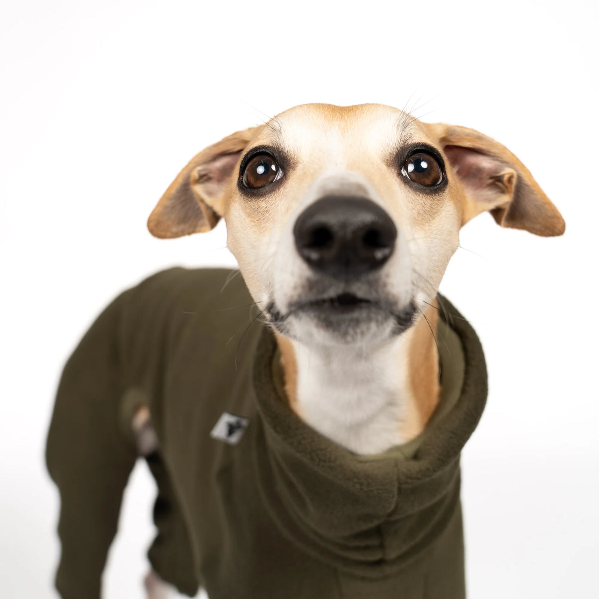 Karma Hund Fleece Overall WINDHUND Olivgrün