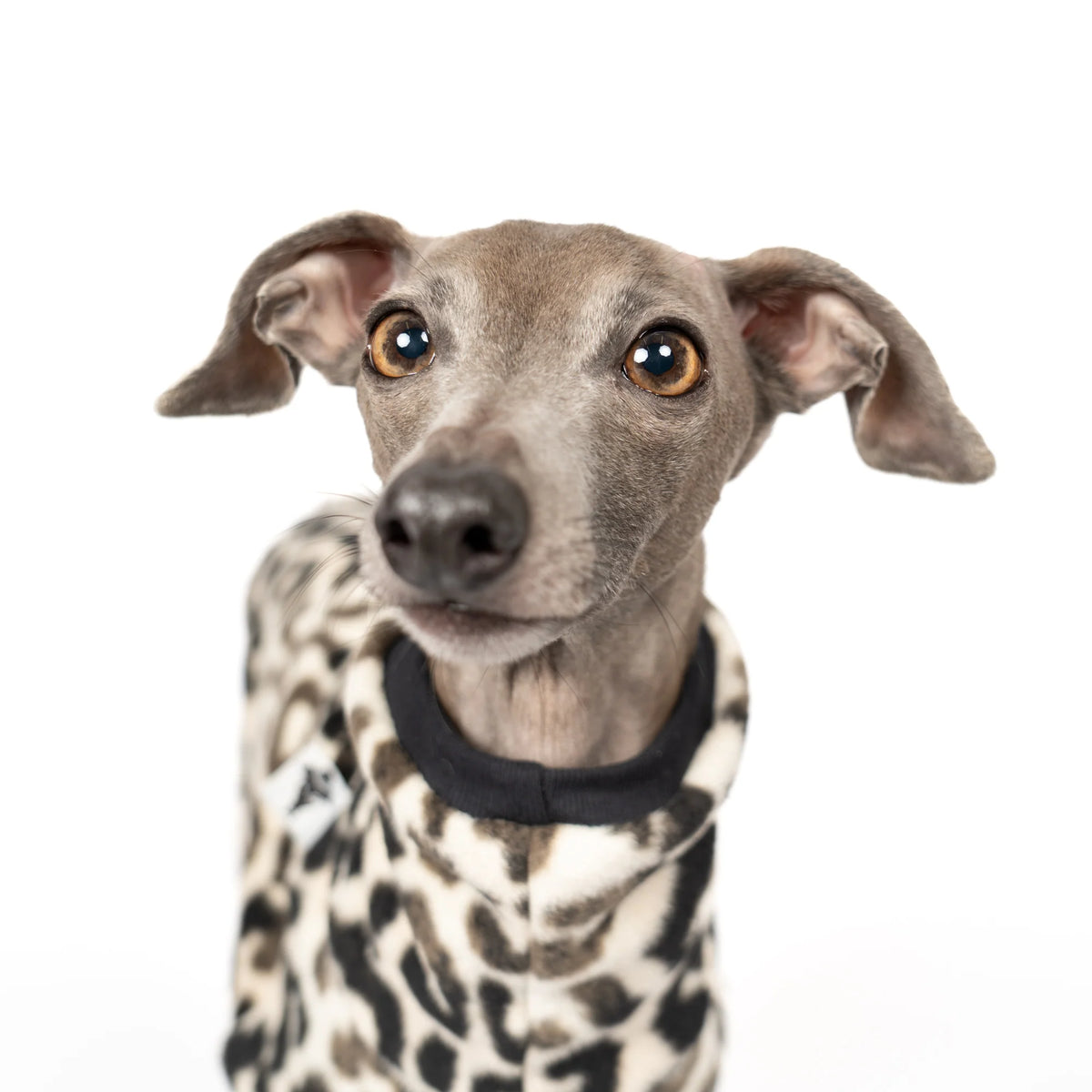 Karma Hund Fleece Overall WINDSPIEL Leo