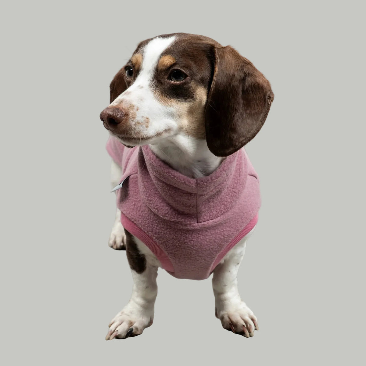 Karma Hund Fleece Shirt DACKEL Altrosa