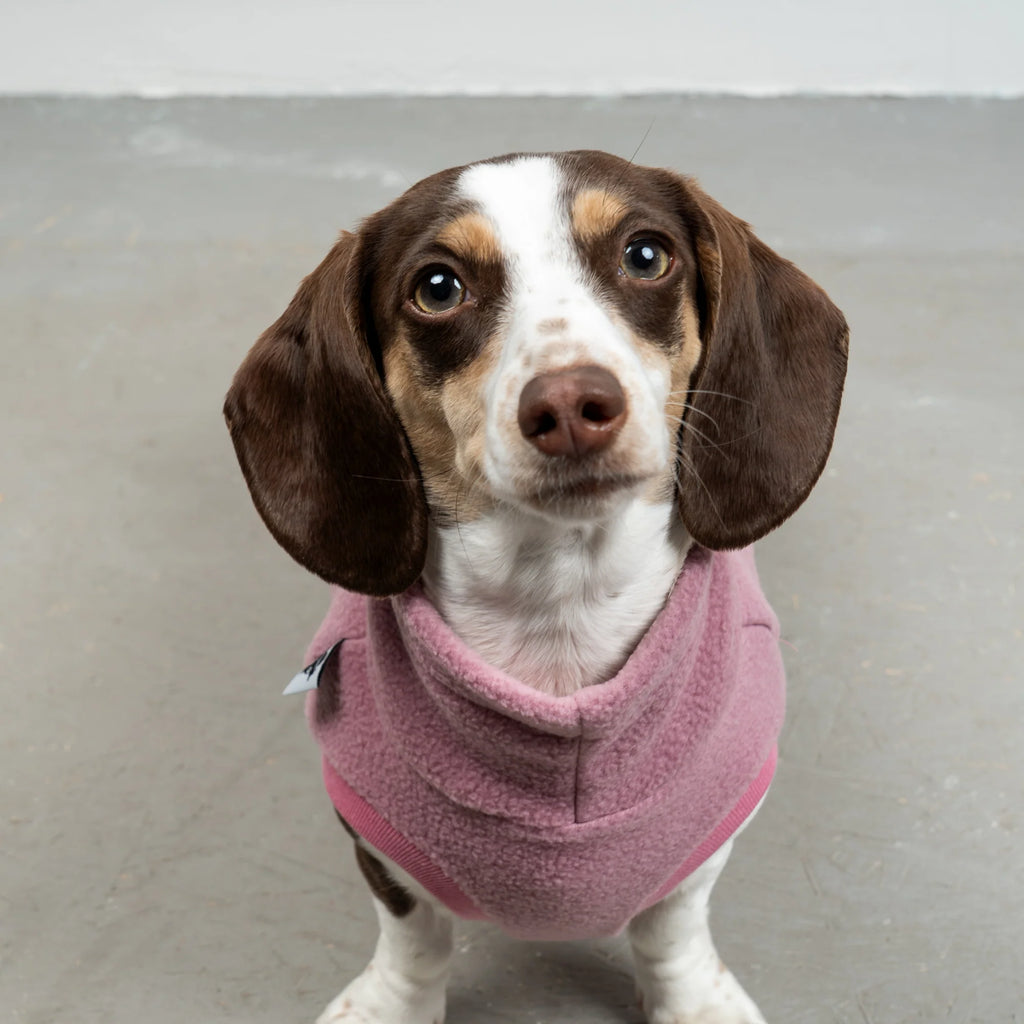 Karma Hund Fleece Shirt DACKEL Altrosa