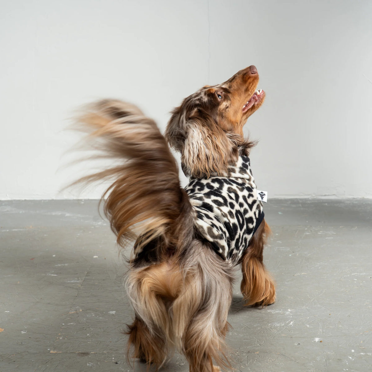 Karma Hund Fleece Shirt DACKEL Leo