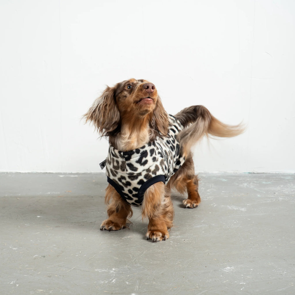 Karma Hund Fleece Shirt DACKEL Leo