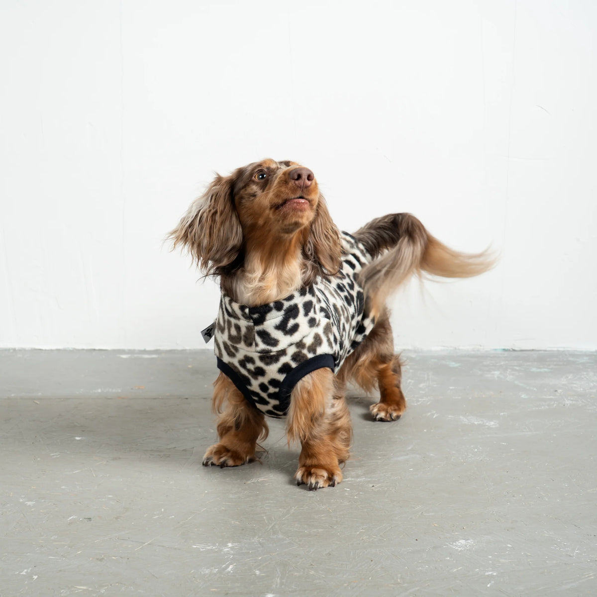 Karma Hund Fleece Shirt DACKEL Leo