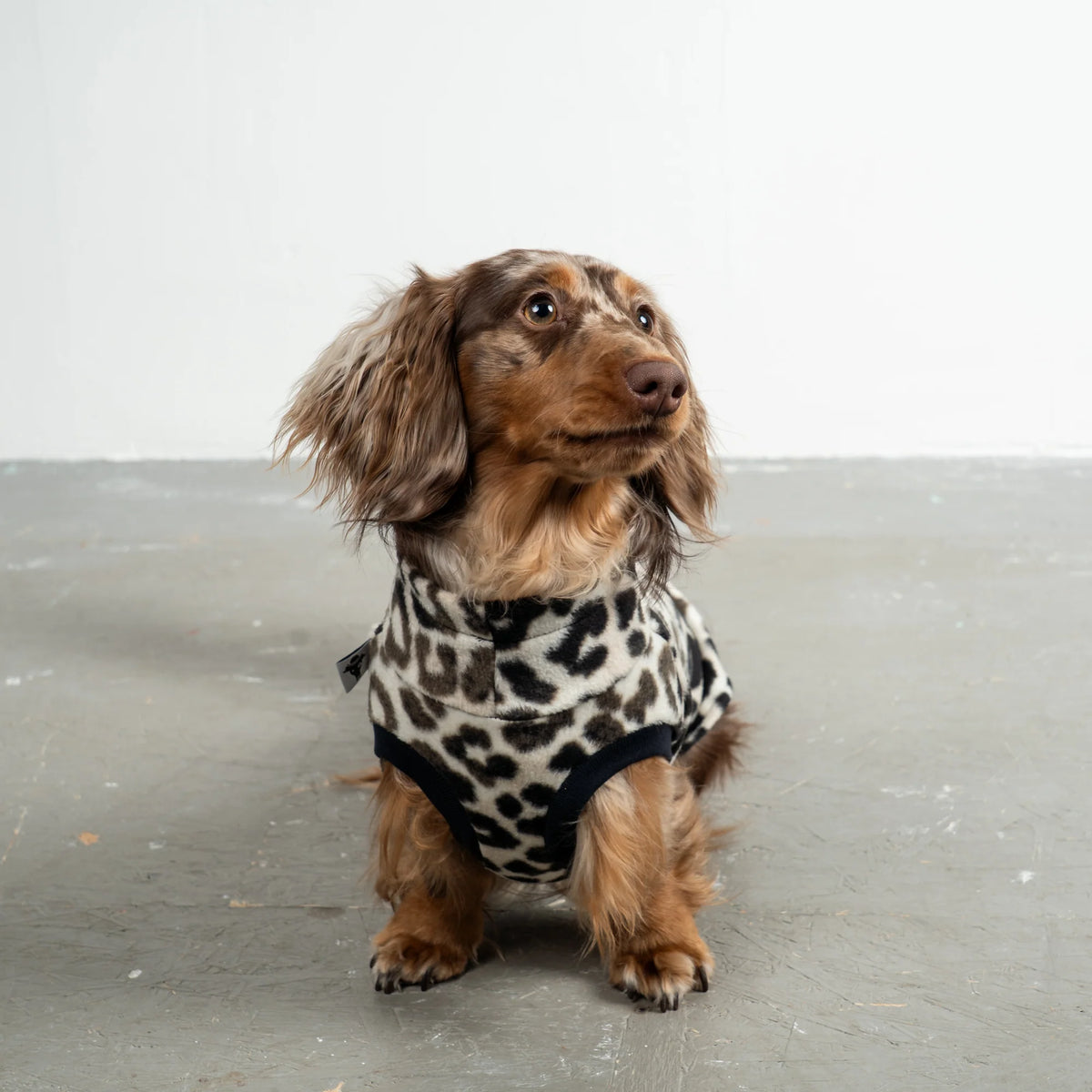 Karma Hund Fleece Shirt DACKEL Leo